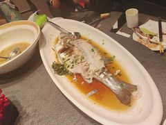 -味到1981日照海鲜·渔饺子