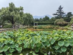 -樱桃沟景区