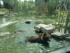 -北京野生动物园