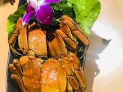 -旺小胖小龙虾