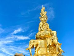 -王浩儿纪六孃甜皮鸭(乐山总店)