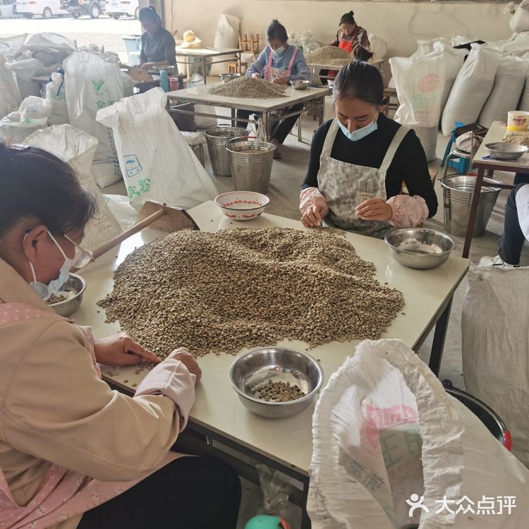 云南保山～潞江坝～小众咖啡庄园2～