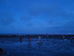 -南汇嘴观海公园