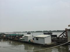 -大湾区中央湿地公园-十九涌