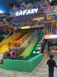 -卡通尼·Safari非洲探索乐园·生日会(金桥国际商业广场店)