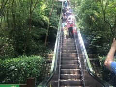 -天目湖山水园