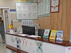 -谐和益家动物医院·免疫绝育·血液透析·宠保定点医院(高新伊藤分院)