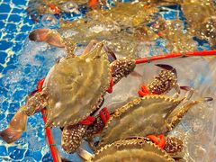 -驻海渔市(置信店)