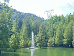 -广州市帽峰山景区