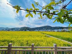 -湄洲岛