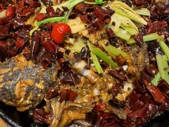 -老板恋上鱼(印象城店)