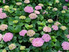 -常州古运河南大街文化旅游区-人民公园