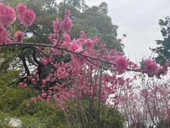 -月湖风景区