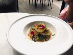 -STARRY CAFE & LOUNGE BAR(高新店)