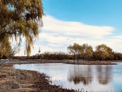 -大兴滨河森林公园