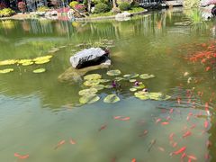 -云溪植物园