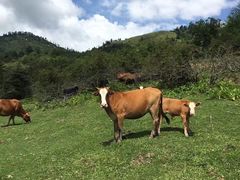 -硗碛藏寨·神木垒景区