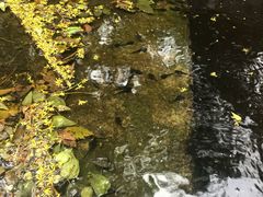 -北京上方山国家森林公园