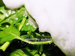 孜然菠菜-桂满陇天书(南京德基旗舰店)