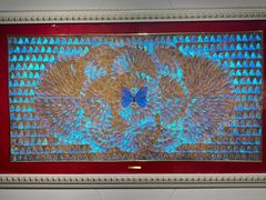 -上海昆虫博物馆