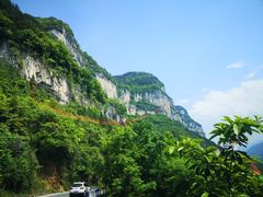-武陵山森林公园