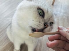 -小时光咖啡馆(北锣鼓巷店)