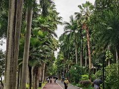 -南宁南湖公园