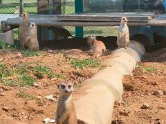 -秦皇岛野生动物园