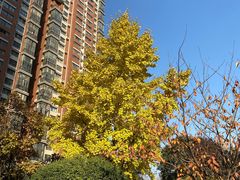 -壹号院音乐餐厅•烤全羊•新疆菜(浐灞店)
