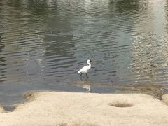 -美兰湖景区