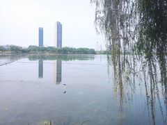 -金银湖国家城市湿地公园