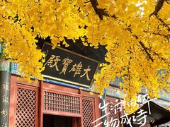 -红螺寺