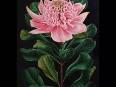 -八哥美术·成人美术画室(总校区)