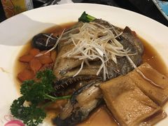 特色日式煮鲽鱼头-东京爱上大连(中央大道店)