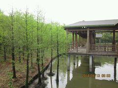 android_upload_pic-溱湖国家湿地公园