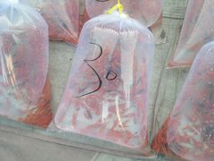 -华声天桥民俗文化园