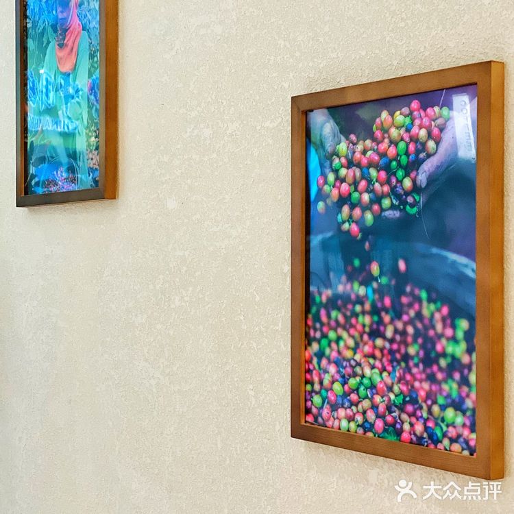 曾叫兽探店｜分享一家日常口粮宝藏咖啡店