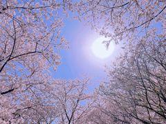 -苏州上方山国家森林公园