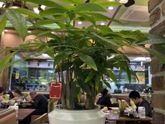-丝路传奇·中国拉面航母店(北医三院店)