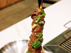 -山野的朋友露营炭火烤肉