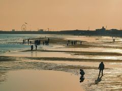 -北戴河转鱼·炒螃蟹酱餐厅