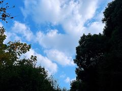 -临平公园(临平街道)