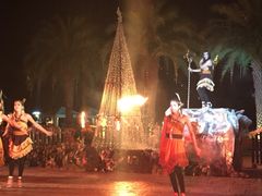 Chiang&nbsp;Mai&nbsp;Night&nbsp;Safari-清迈夜间动物园