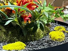 -曼格纳·曼芯馆(杨浦店)
