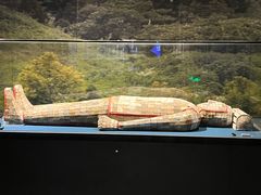 -亳州博物馆