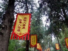 -司马温公祠