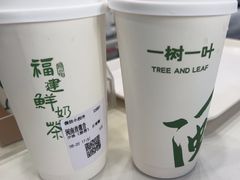 -一树一叶·福建茶档(石鼓路店)