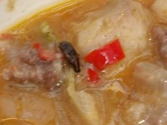 -厨帮湘(花都雅乐城店)