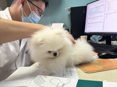 -联合动物医院(光谷诊疗中心)