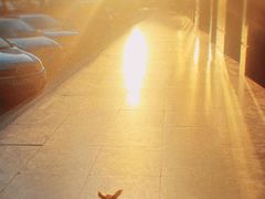 -芭比堂动物医院·犬猫全科·异宠专科(雁塔分院)